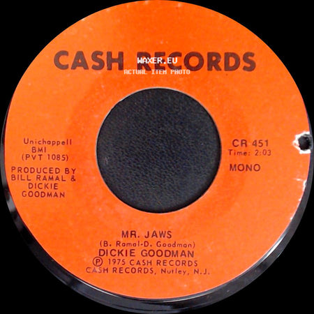 Dickie Goodman - Irv's Theme / Mr. Jaws side B