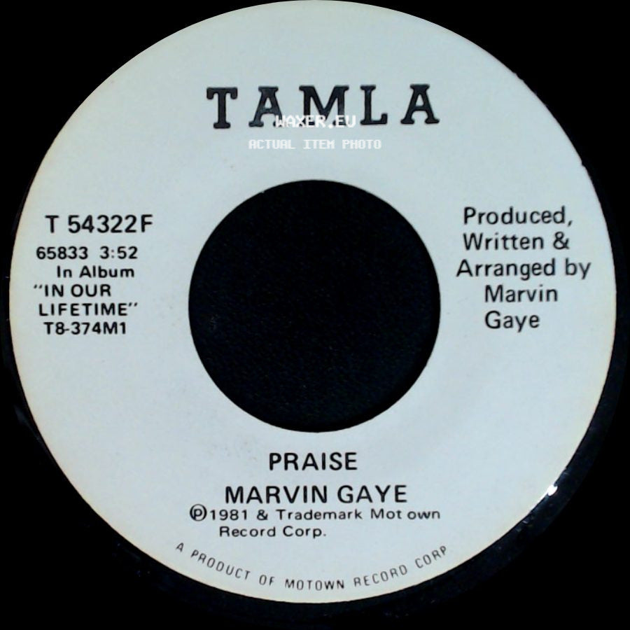 Marvin Gaye - Praise / Praise side A