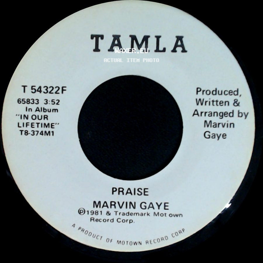 Marvin Gaye - Praise / Praise side B