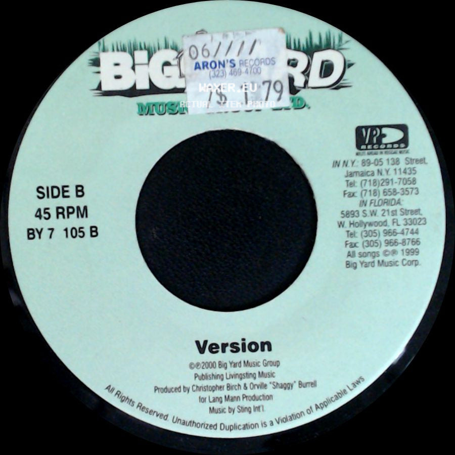 Brian & Tony Gold - Wrong Head / Version side B