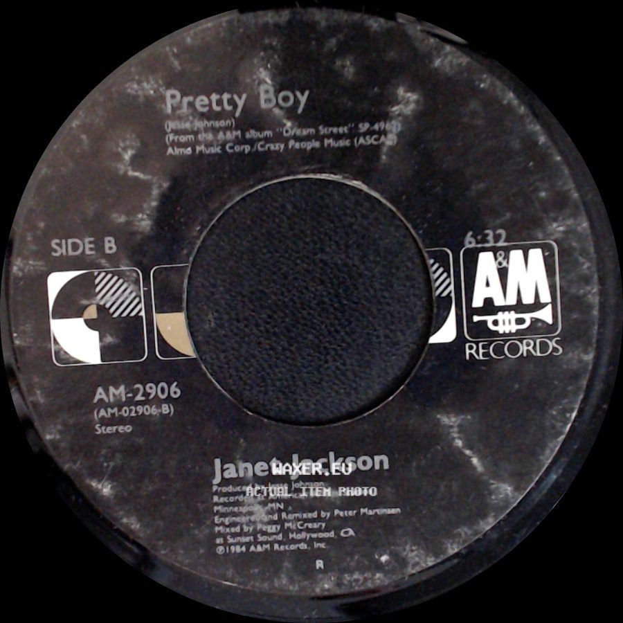 Janet Jackson - Let's Wait Awhile Remix / Pretty Boy side B