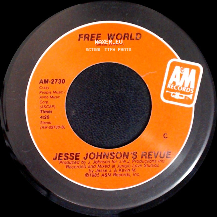 Jesse Johnson's Revue - Can You Help Me / Free World side B