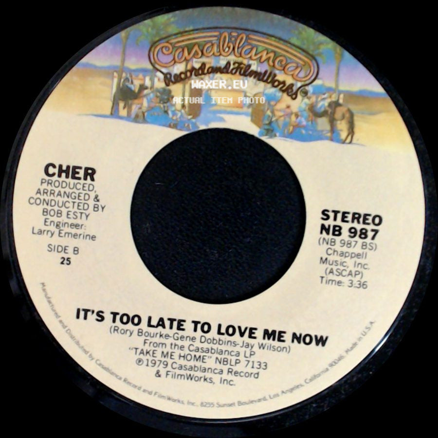 Cher - Wasn't It Good / It's Too Late To Love Me Now side B