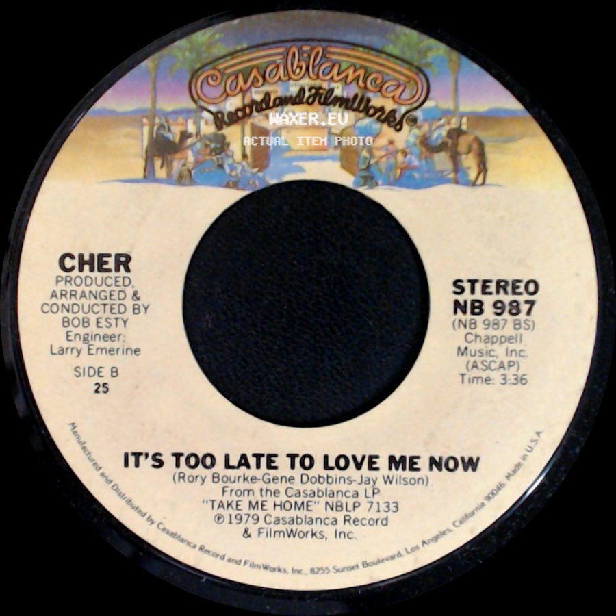 Cher - Wasn't It Good / It's Too Late To Love Me Now side B