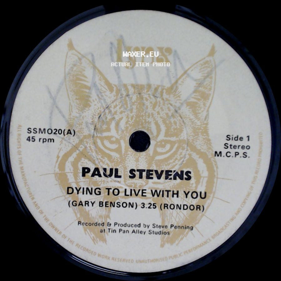 Paul Stevens - Dying To Live With You / Photograph side A