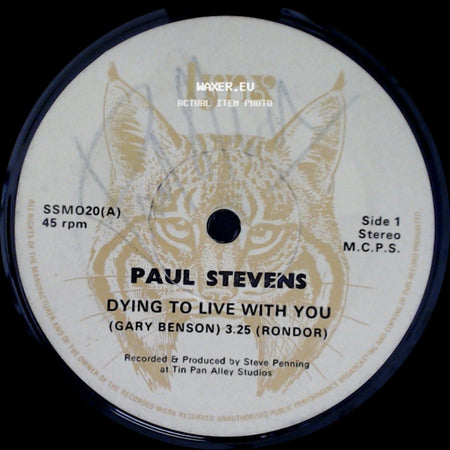 Paul Stevens - Dying To Live With You / Photograph side A
