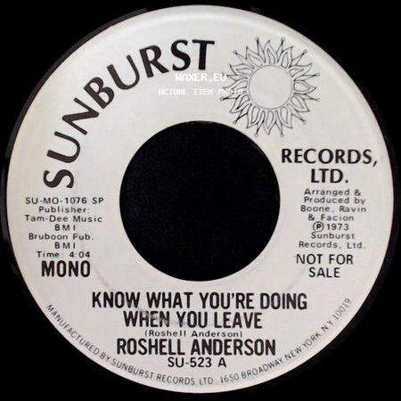 Roshell Anderson - Know What You're Doing When You Leave / Know What You're Doing When You Leave side B