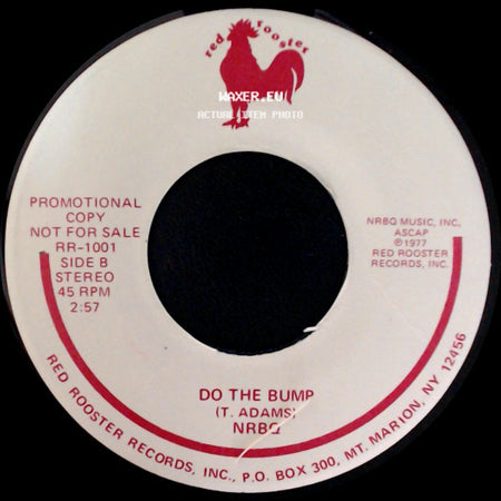 Nrbq - Ridin' In My Car / Do The Bump side B