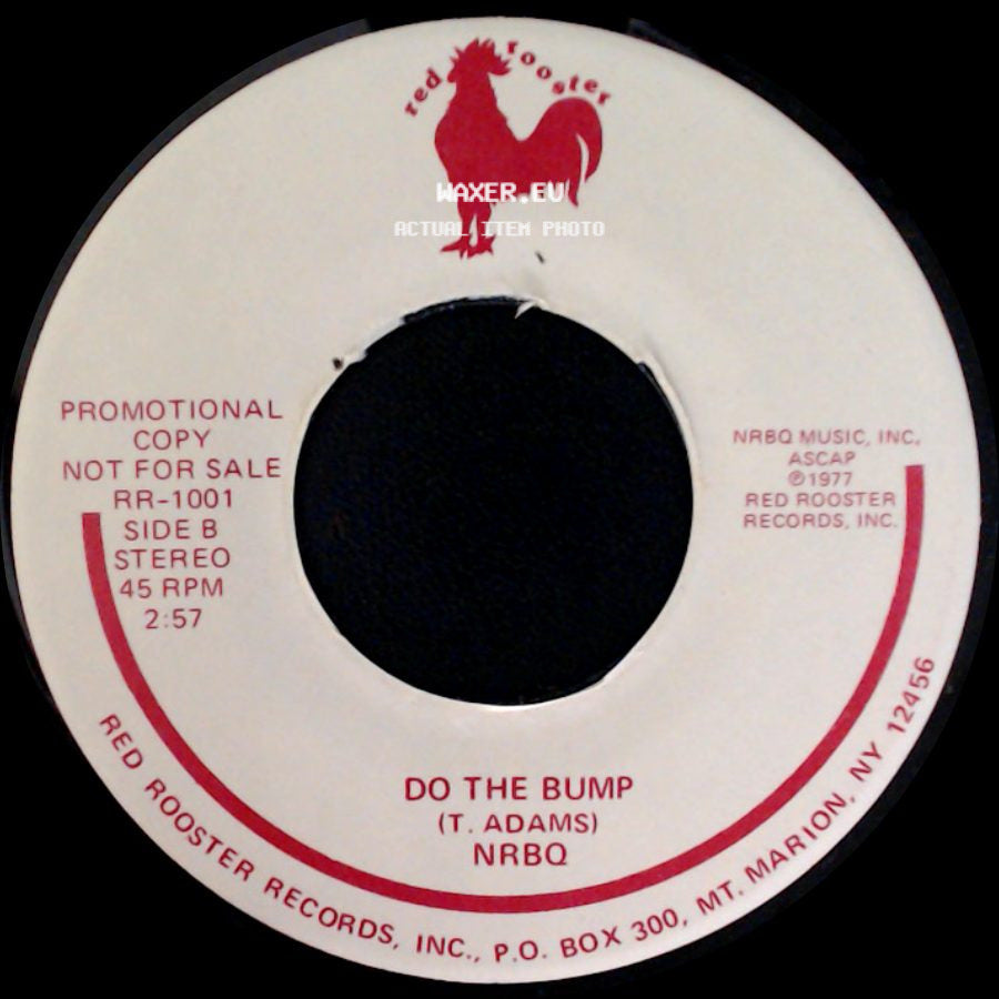 Nrbq - Ridin' In My Car / Do The Bump side B