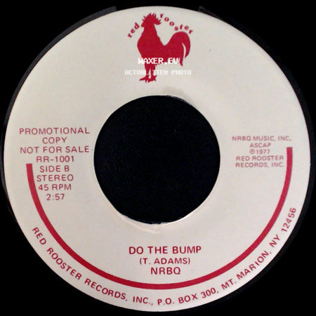 Nrbq - Ridin' In My Car / Do The Bump side B