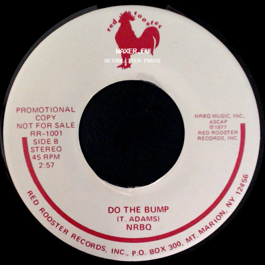 Nrbq - Ridin' In My Car / Do The Bump side B