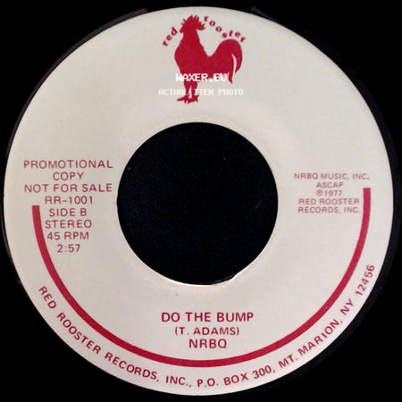 Nrbq - Ridin' In My Car / Do The Bump side B