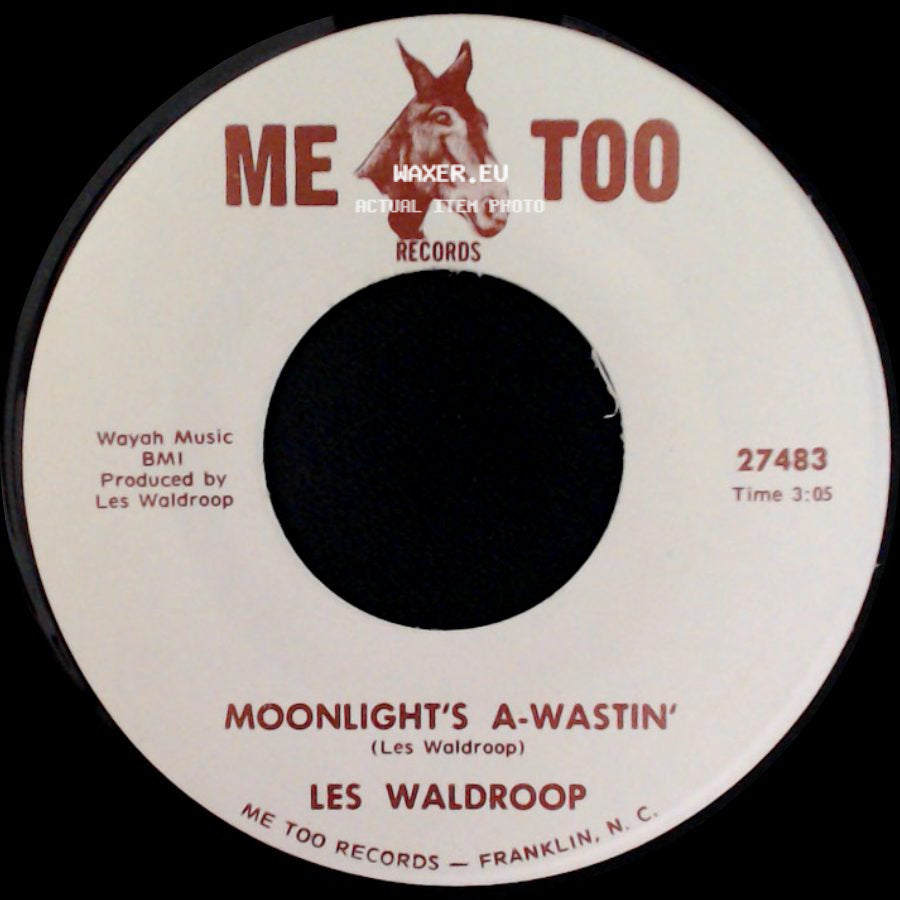 Les Waldroop - Moonlight's A-Wastin' / Watergate Bugs side A
