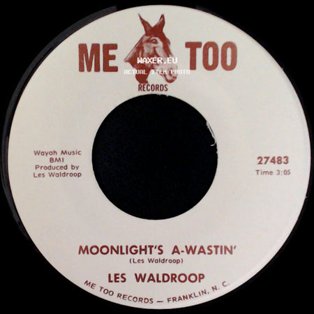 Les Waldroop - Moonlight's A-Wastin' / Watergate Bugs side A
