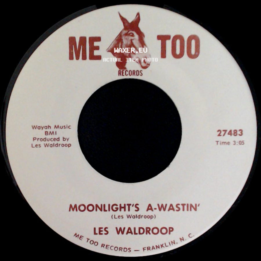 Les Waldroop - Moonlight's A-Wastin' / Watergate Bugs side A