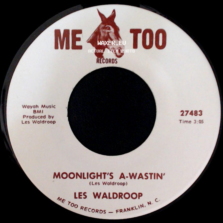Les Waldroop - Watergate Bugs / Moonlight's A-Wastin' side B