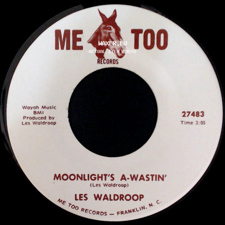 Les Waldroop - Watergate Bugs / Moonlight's A-Wastin' side B