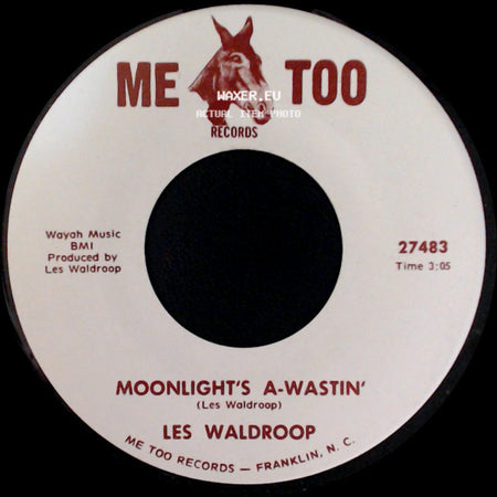Les Waldroop - Moonlight's A-Wastin' / Watergate Bugs side A