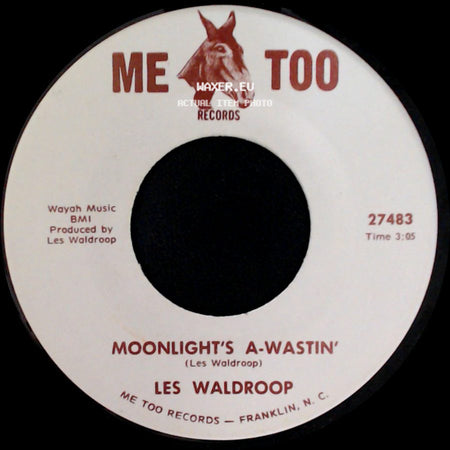 Les Waldroop - Watergate Bugs / Moonlight's A-Wastin' side B