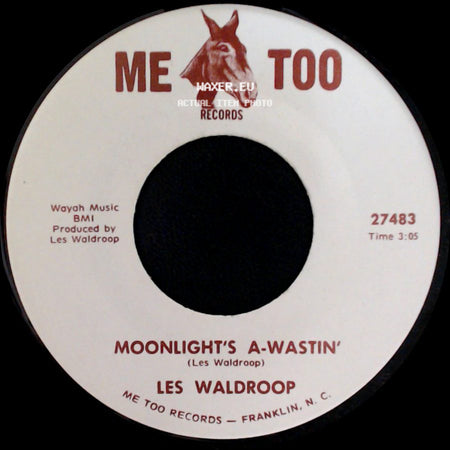 Les Waldroop - Watergate Bugs / Moonlight's A-Wastin' side B