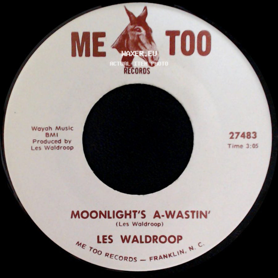 Les Waldroop - Watergate Bugs / Moonlight's A-Wastin' side B