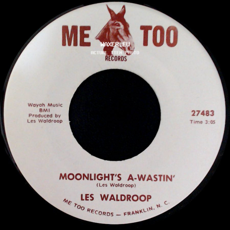 Les Waldroop - Moonlight's A-Wastin' / Watergate Bugs side A