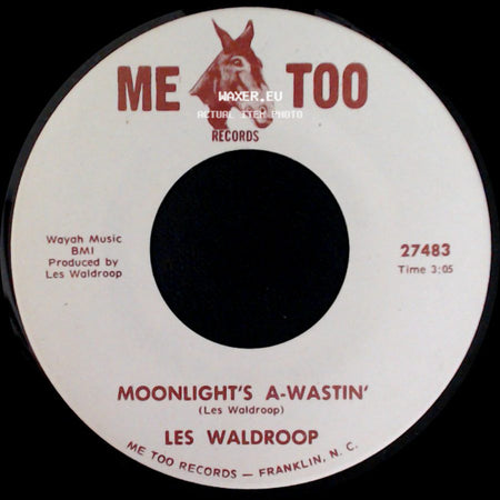 Les Waldroop - Moonlight's A-Wastin' / Watergate Bugs side A