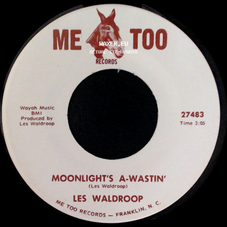 Les Waldroop - Watergate Bugs / Moonlight's A-Wastin' side B