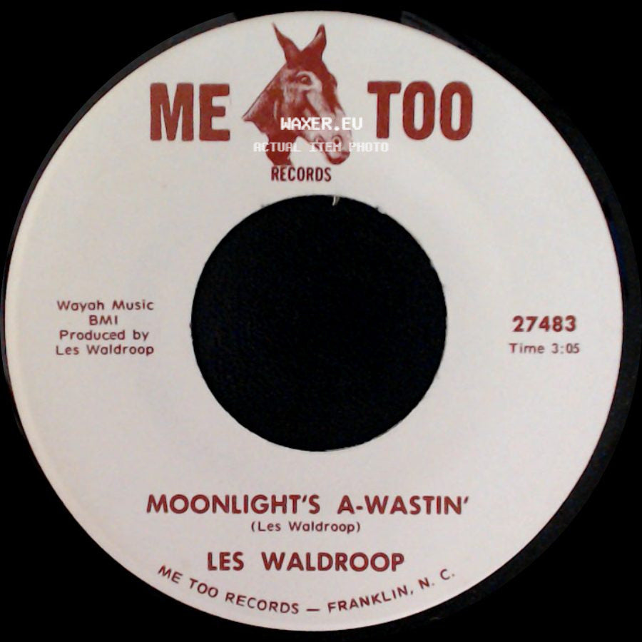 Les Waldroop - Watergate Bugs / Moonlight's A-Wastin' side B