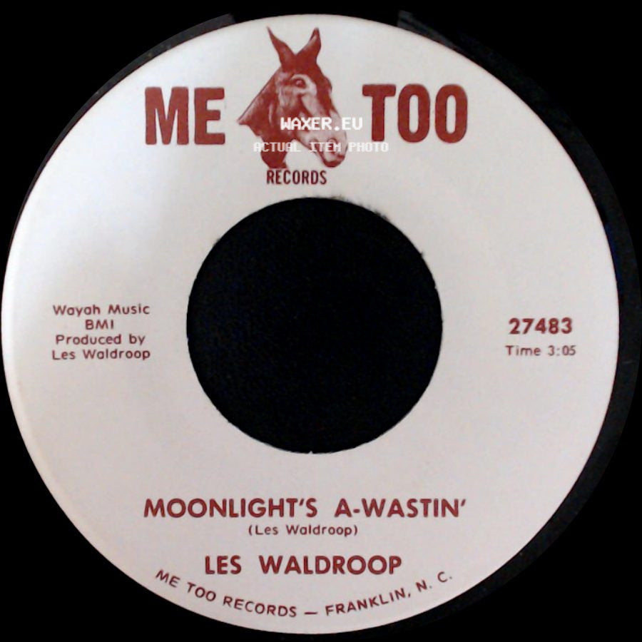 Les Waldroop - Moonlight's A-Wastin' / Watergate Bugs side A