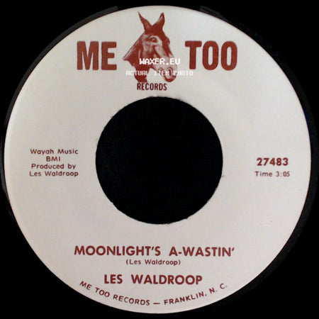 Les Waldroop - Watergate Bugs / Moonlight's A-Wastin' side B
