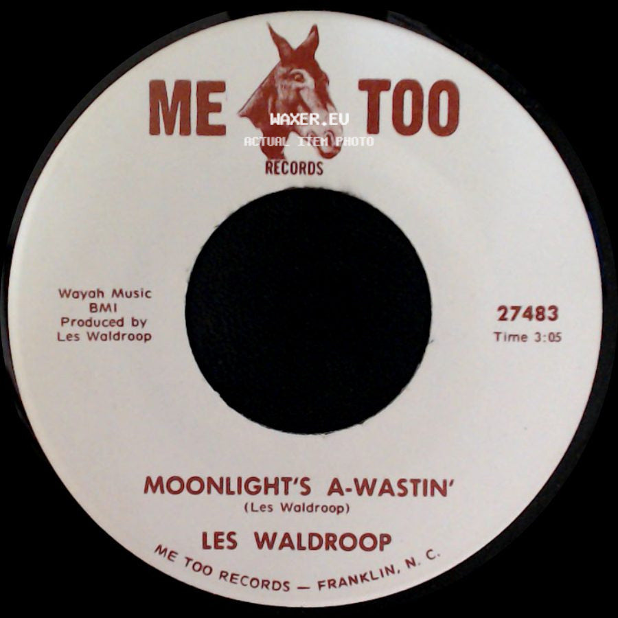Les Waldroop - Watergate Bugs / Moonlight's A-Wastin' side B