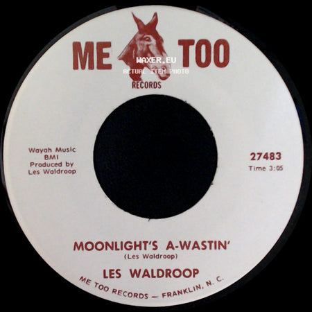 Les Waldroop - Moonlight's A-Wastin' / Watergate Bugs side A