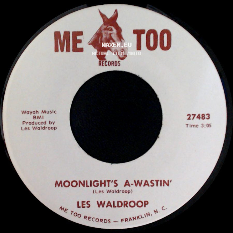 Les Waldroop - Moonlight's A-Wastin' / Watergate Bugs side A