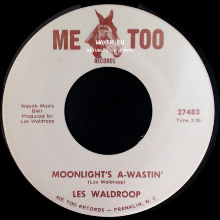 Les Waldroop - Moonlight's A-Wastin' / Watergate Bugs side A