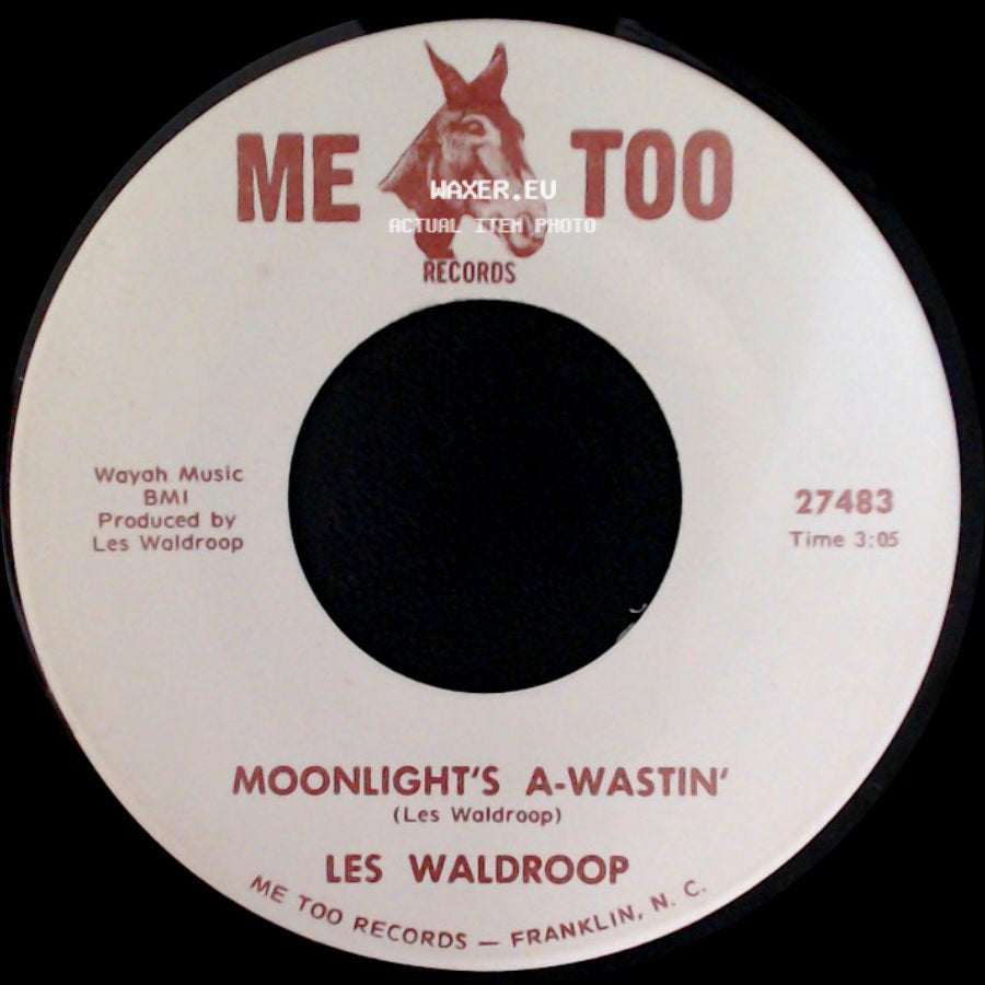 Les Waldroop - Moonlight's A-Wastin' / Watergate Bugs side A