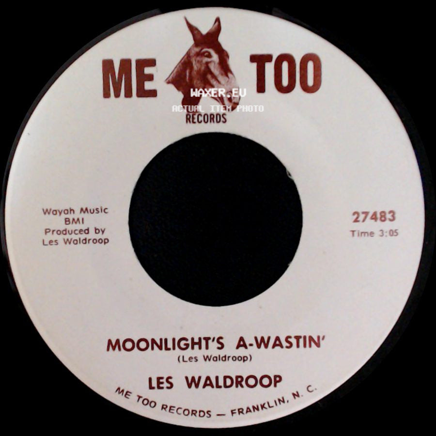 Les Waldroop - Watergate Bugs / Moonlight's A-Wastin' side B