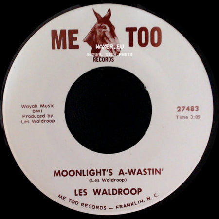 Les Waldroop - Watergate Bugs / Moonlight's A-Wastin' side B