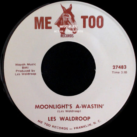 Les Waldroop - Watergate Bugs / Moonlight's A-Wastin' side B