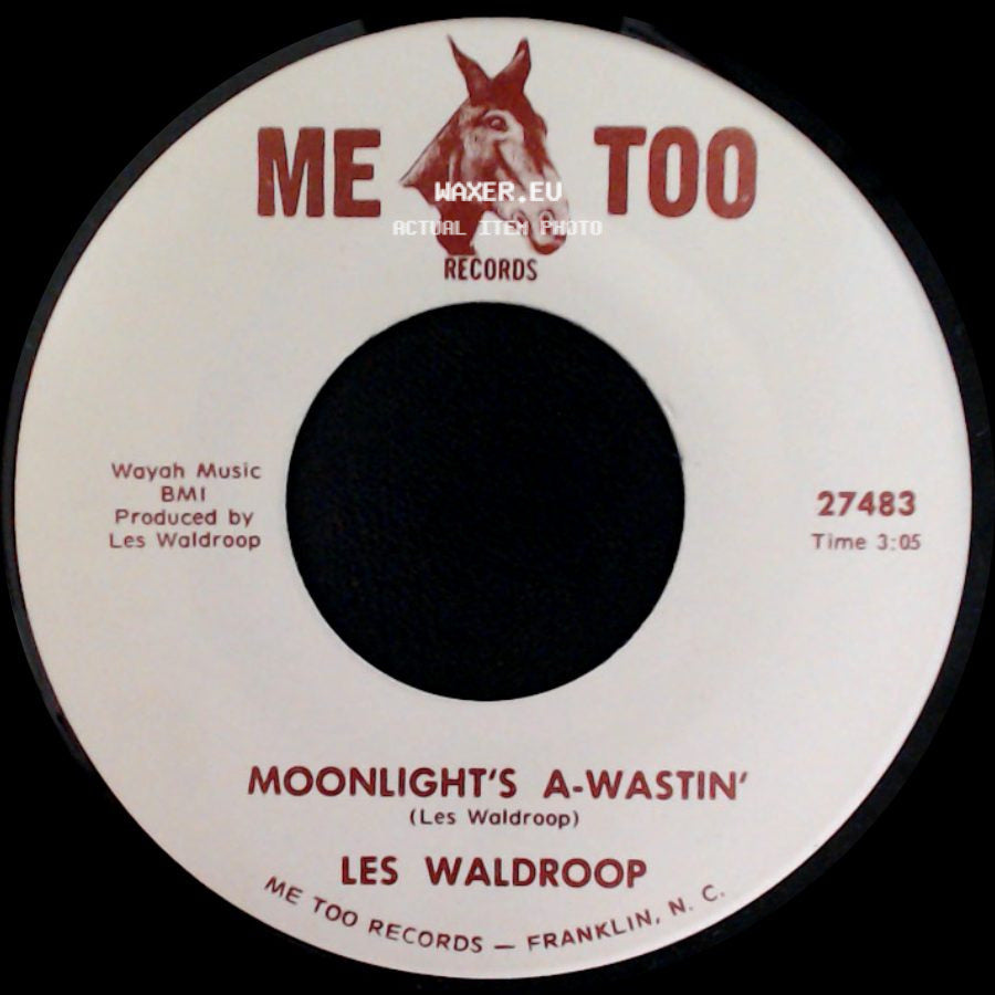 Les Waldroop - Moonlight's A-Wastin' / Watergate Bugs side A