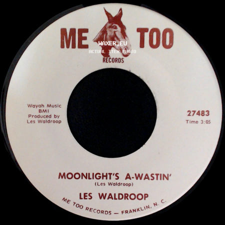 Les Waldroop - Watergate Bugs / Moonlight's A-Wastin' side B