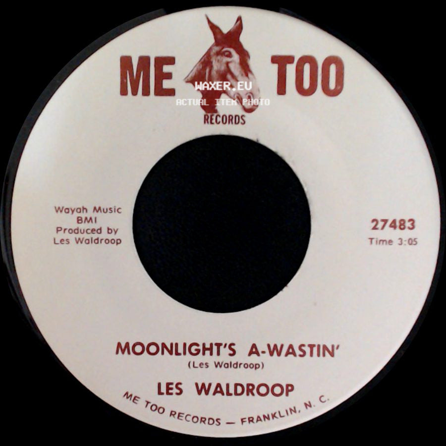 Les Waldroop - Watergate Bugs / Moonlight's A-Wastin' side B