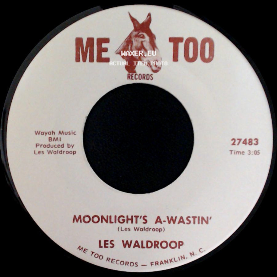 Les Waldroop - Moonlight's A-Wastin' / Watergate Bugs side A