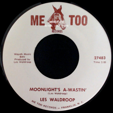 Les Waldroop - Moonlight's A-Wastin' / Watergate Bugs side A
