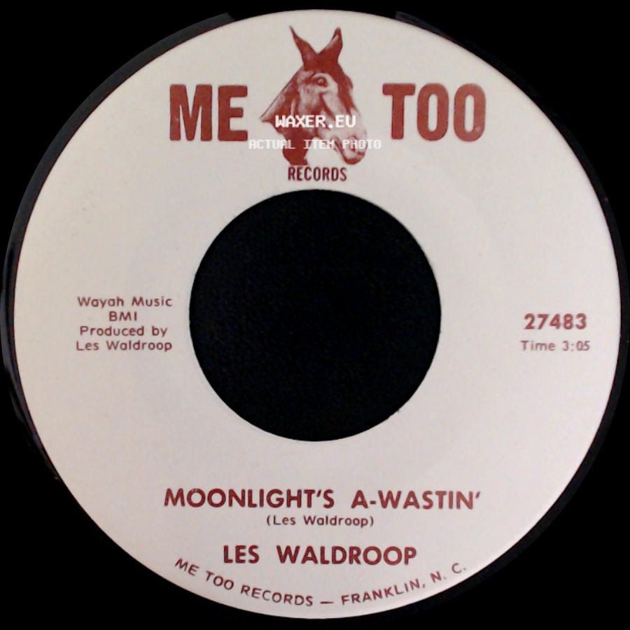 Les Waldroop - Moonlight's A-Wastin' / Watergate Bugs side A