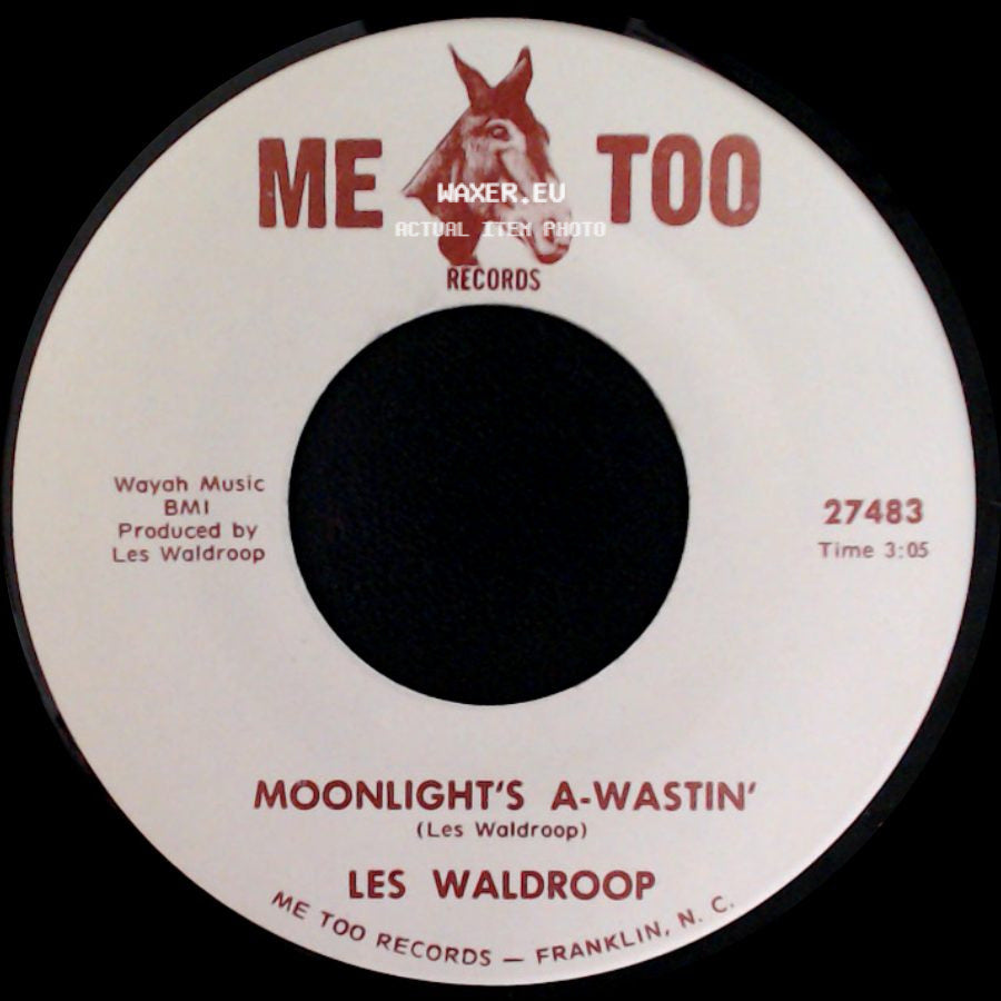 Les Waldroop - Moonlight's A-Wastin' / Watergate Bugs side A