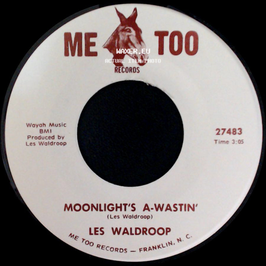 Les Waldroop - Moonlight's A-Wastin' / Watergate Bugs side A