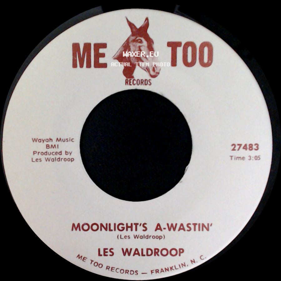 Les Waldroop - Moonlight's A-Wastin' / Watergate Bugs side A