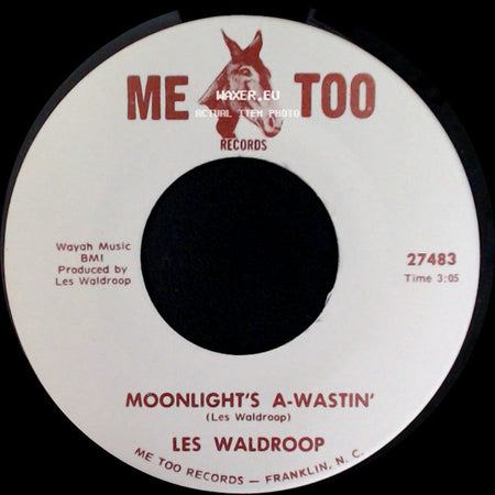 Les Waldroop - Moonlight's A-Wastin' / Watergate Bugs side A