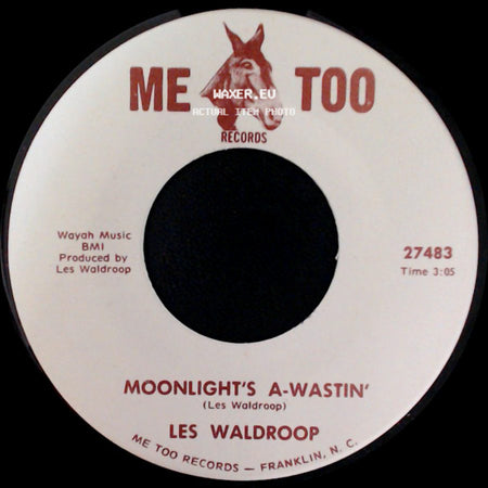 Les Waldroop - Moonlight's A-Wastin' / Watergate Bugs side A